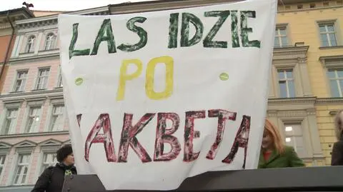 Protestowali przeciwko wycinaniu drzew we Wrocławiu. "Fatalna polityka miasta"