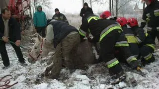 Akcja strażaków trwała ponad godzinę