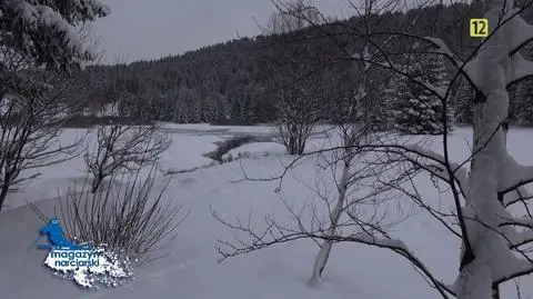 Magazyn Narciarski odc. 14