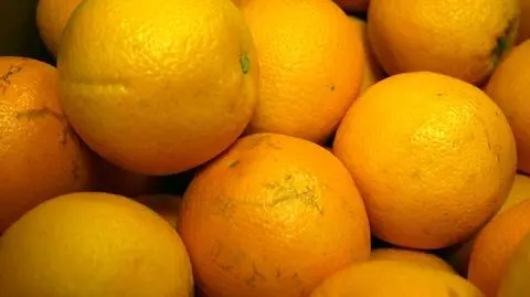 Miał twierdzić, że będzie ambasadorem i pożyczać pieniądze. Zapewnia, że nikogo nie chciał oszukać