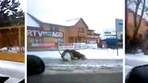 Rajd strusia w Siemiatyczach