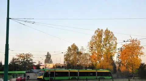 Tramwaje wracają na Junikowo, 
ale tylko na tydzień