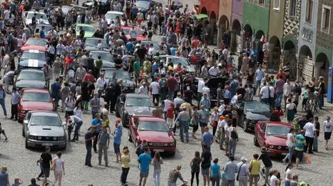 Mustangi wzbudziły zainteresowanie 