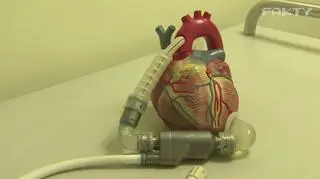 "Wiek nie jest granicą"