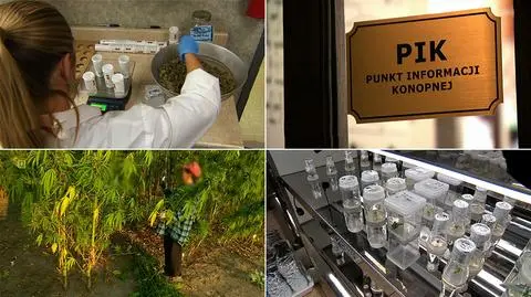 Medycznej marihuany wciąż nie ma w aptekach