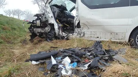 Wypadek w Brzegu, 12 osób lekko rannych