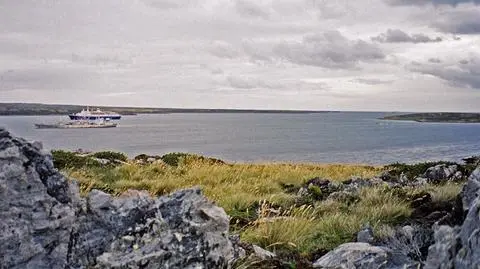 Cameron: Będziemy walczyć o Falklandy 