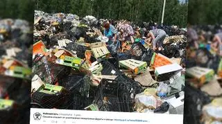 Niszczenie żywności objętej embargiem w Rosji  