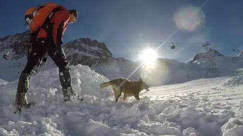 Szkolenie psów Tatrzańskiego Ochotniczego Pogotowia Ratunkowego