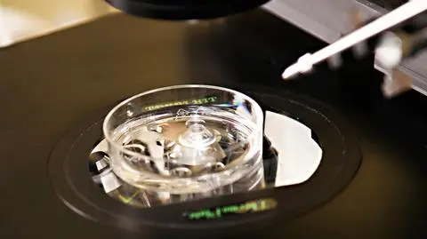 Rządowy program in vitro rozszerzony. Więcej klinik in vitro