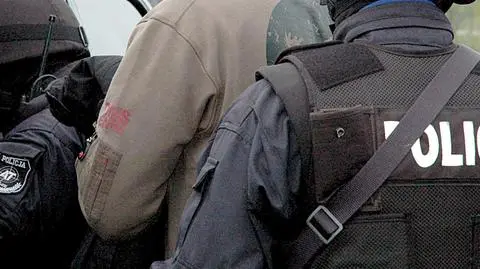 Ukradli i rozebrali 40 aut za milion? Policja rozbija gang
