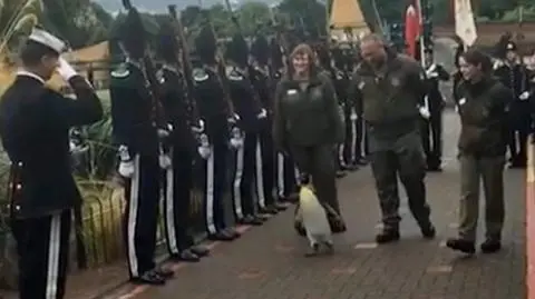 Najciekawsze wideo tygodnia w tvn24.pl