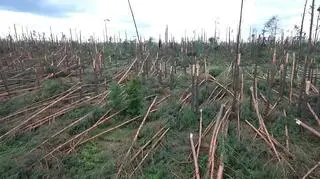 Trzy osoby oskarżone po tragedii w Suszku