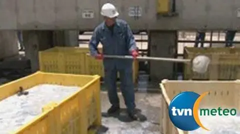 Meduzy wyłączą prąd 
w Izraelu?