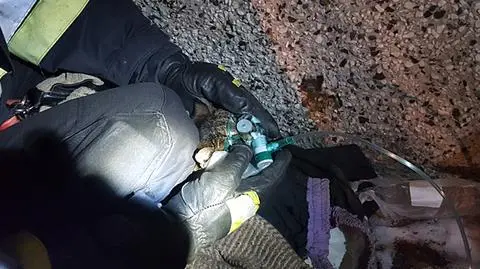 Zamość. Strażacy uratowali kota z pożaru domu, podali mu tlen
