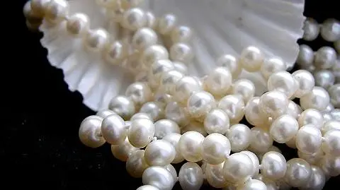 Ponad dwa tuziny pereł w jednej ostrydze