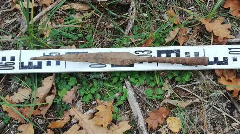 Puszcza Knyszyńska. Grot włóczni pod ściółką leśną