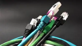 Polski internet uratowany?