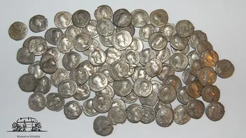 Elbląg: znalazł 86 srebrnych denarów