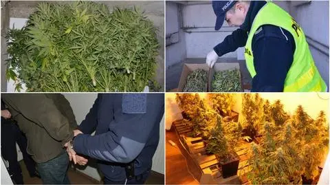 Ponad 4 kilogramy narkotyków przejęła nowotomyska policja