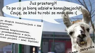 Inwestycje dla Poznania dalej walczą z ZDM-em jeżycką lamą
