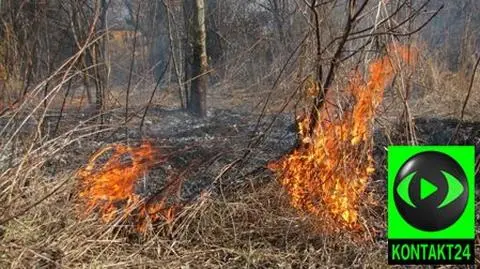 Pięć tysięcy pożarów przez wypalanie traw