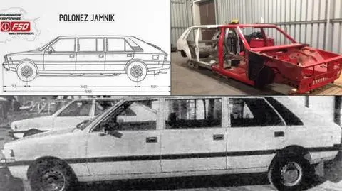 Gdańsk: budują poloneza jamnika