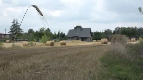 Urzędnicy: ziemia warta jest pół miliona złotych