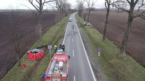 Jeleń powodem wypadku. Jedna osoba nie żyje, sześć jest rannych