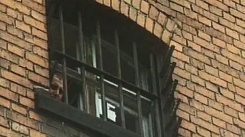 Dożywocie dla zabójcy studentki