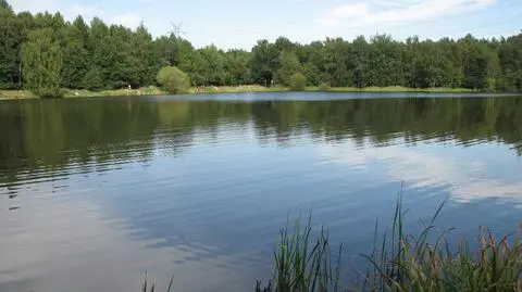 Mikołów. Uprowadzenie kobiety, porywacze zatrzymani
