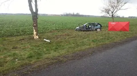 Samochód uderzył w drzewo. Pasażerka zginęła na miejscu