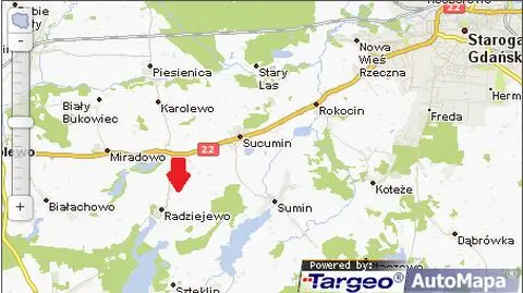 Śmiertelnie potrącił kobietę