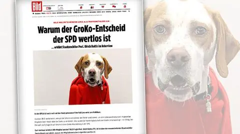 Pies, który miał decydować o Niemczech