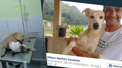 Wilson Martins Coutinho ratuje bezdomne i chore zwierzęta