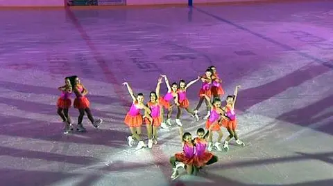 Grobelny, Czerkawski i Fibak na otwarciu lodowiska