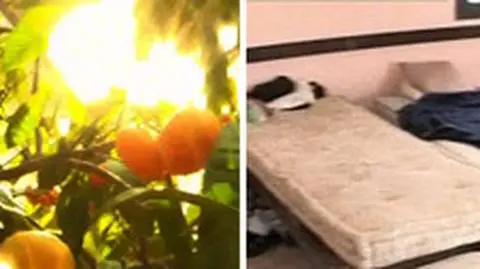 Miała być praca za granicą. Zamiast tego 10 tys. kary