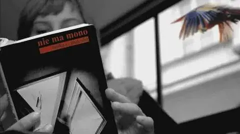 Literatura na nutę fado