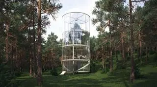 Szklany dom na drzewie stanie w lasach nieopodal Ałmaty, największego miasta Kazachstanu