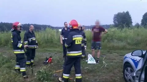 Uciekł na drzewo przed lochą dzika i siedział ponad cztery godziny