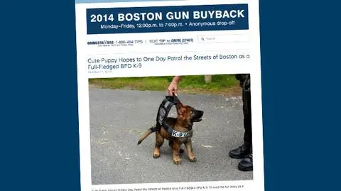 Komisarz Batman. Będzie tropił przestępców z Bostonu