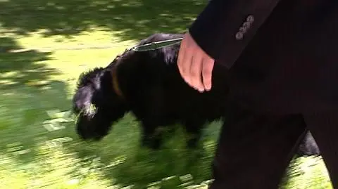 Dorn i Saba wygrali z LiD