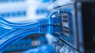 Broń na terrorystów czy ograniczenie swobód obywateli? Materiał „Faktów” z 27.12 