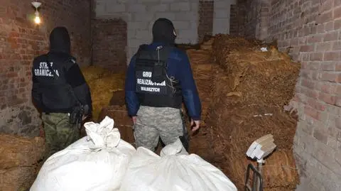 Gang handlarzy nielegalnym tytoniem rozbity