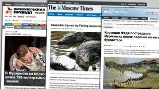 Krokodyl Fiedia dochodzi do siebie po niefortunnym wypadku 