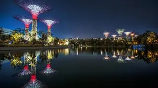 Kompleks ogrodowy Gardens by the Bay ma powierzchnię 101 hektarów - można tam podziwiać roślinność z całego świata