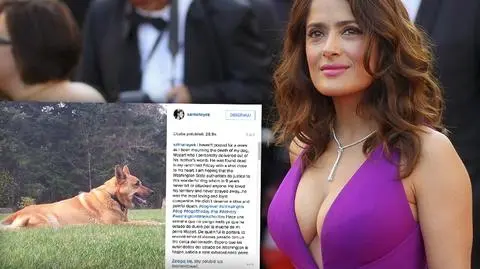 Salma Hayek w żałobie po zastrzeleniu jej psa Mozarta