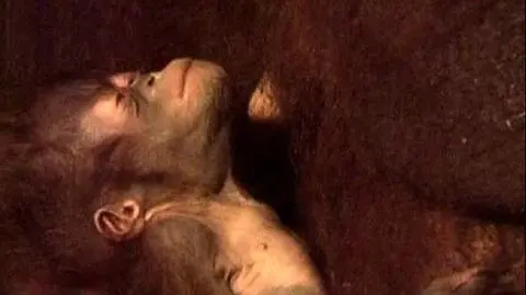 Natalia - najmłodszy orangutan
