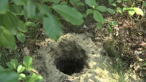 Gliwice. Oskarżeni o zamordowanie małżeństwa "za dług"