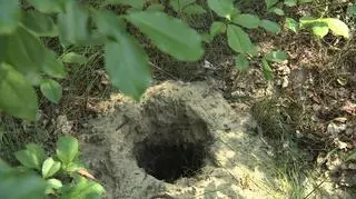 Małżeństwo zostało odkopane po 14 latach od zabójstwa